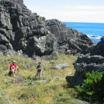 Cape Palliser