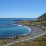 Cape Palliser