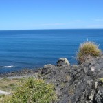 Cape Palliser