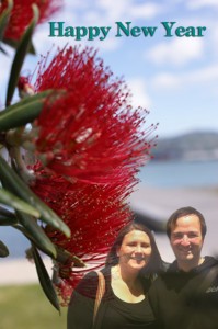 Photo: pohutukawa tree/Oriental Bay by Nick Payton Photo: pohutukawa tree/Oriental Bay by Nick Payton